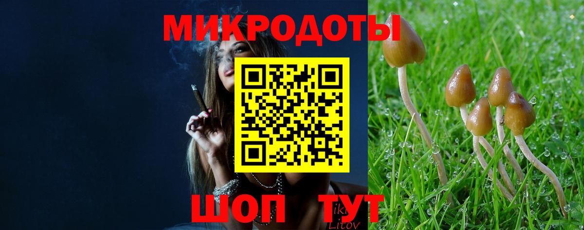 Алушта  Галлюциногенные грибы ЛСД  Псилоцибиновые грибы мухоморы  Вход с VPN 